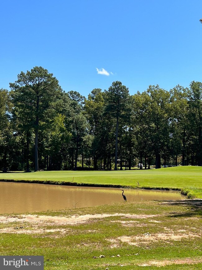 14780 Mohawk Dr, Issue, MD 20645 - photo 7