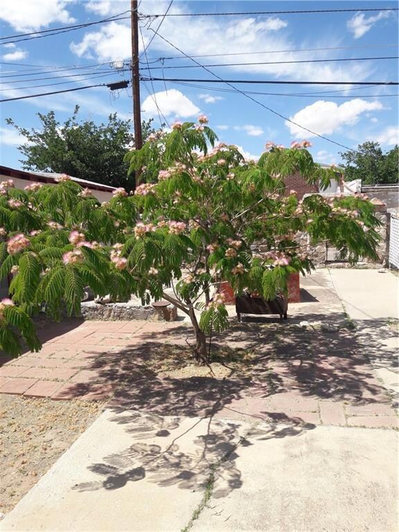 3717 Mountain Ave, El Paso, TX 79930 - photo 6