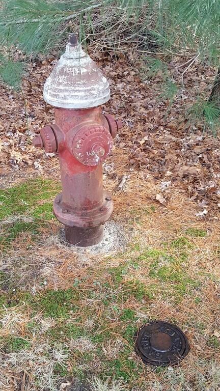 18 Heather Ln, North Falmouth, MA 02556 - photo 4