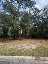 86 Marsh Creek Blvd, Waverly, GA 31565 - photo 3