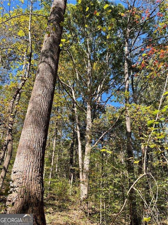 55 Sweetwater Way, Lula, GA 30554 - photo 5