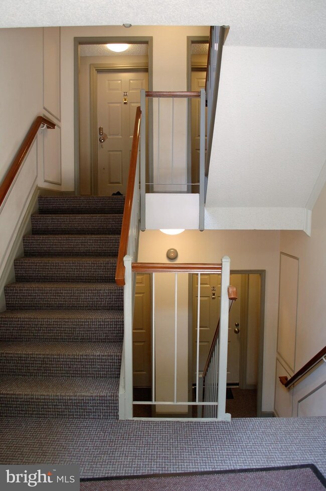 5 Pickering Ct unit 102, Germantown, MD 20874 - photo 3