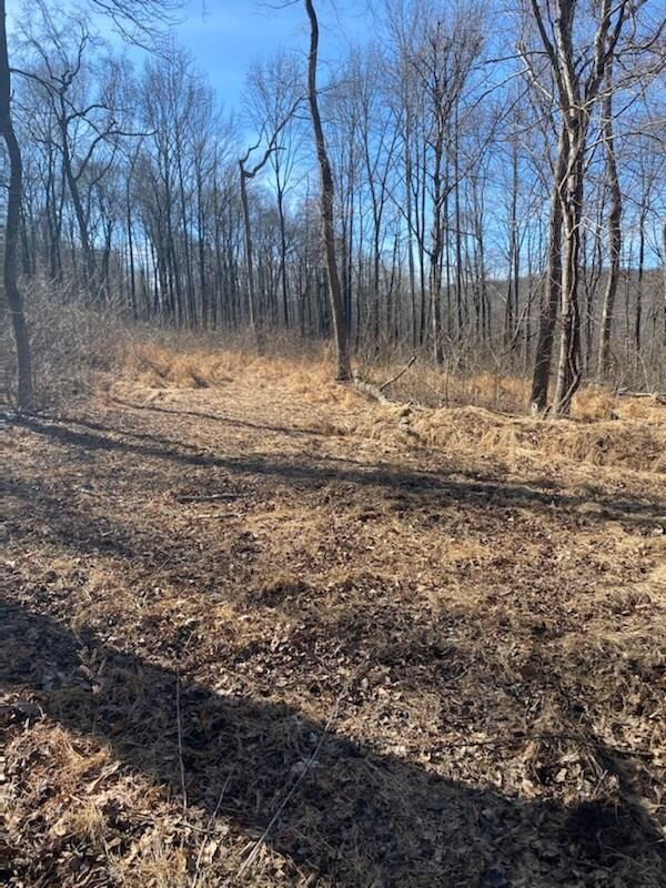 20240 Big Spring Rd, Winslow, AR 72959 - photo 6