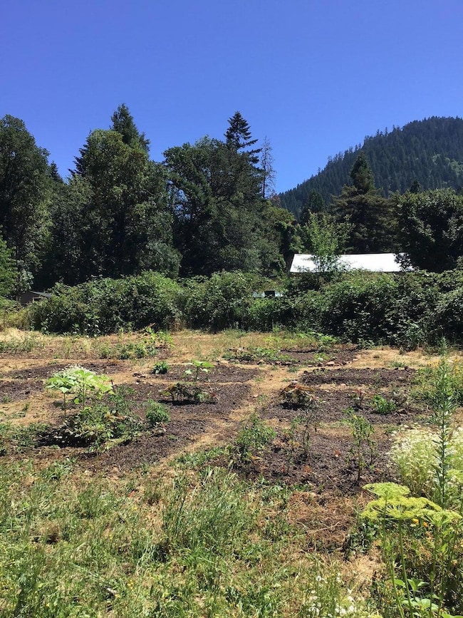 20241004210301392160000000-o