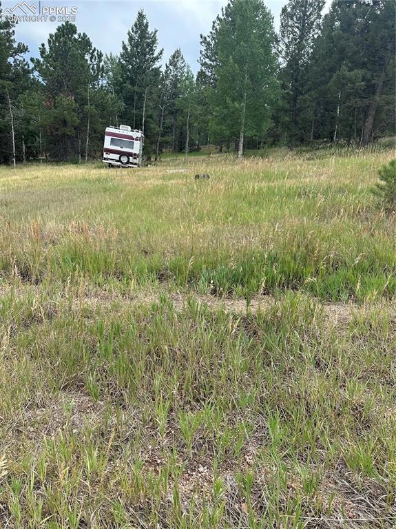 17 and 33 Deer Ridge Trail, Florissant, CO 80816 - photo 2