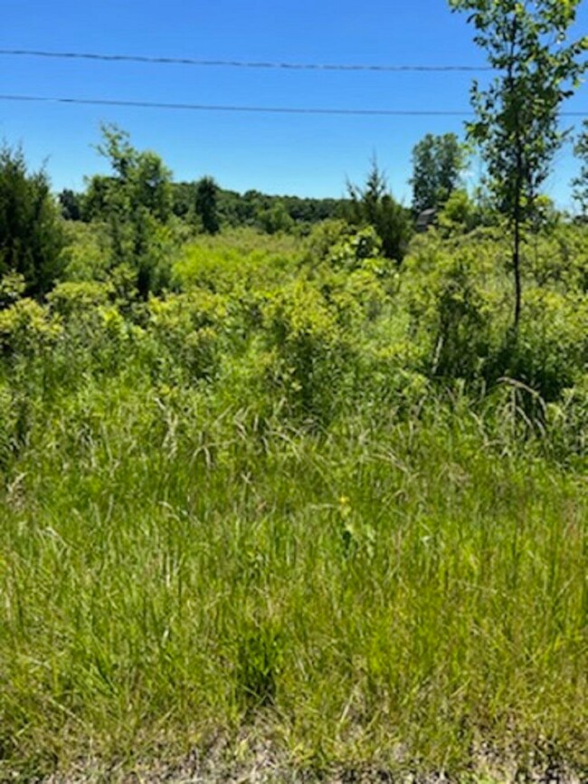 0 E Wilson Rd unit 50086153, Thetford Township, MI 48420 - photo 3