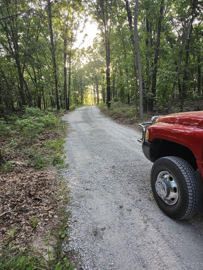 123951_1755201952130