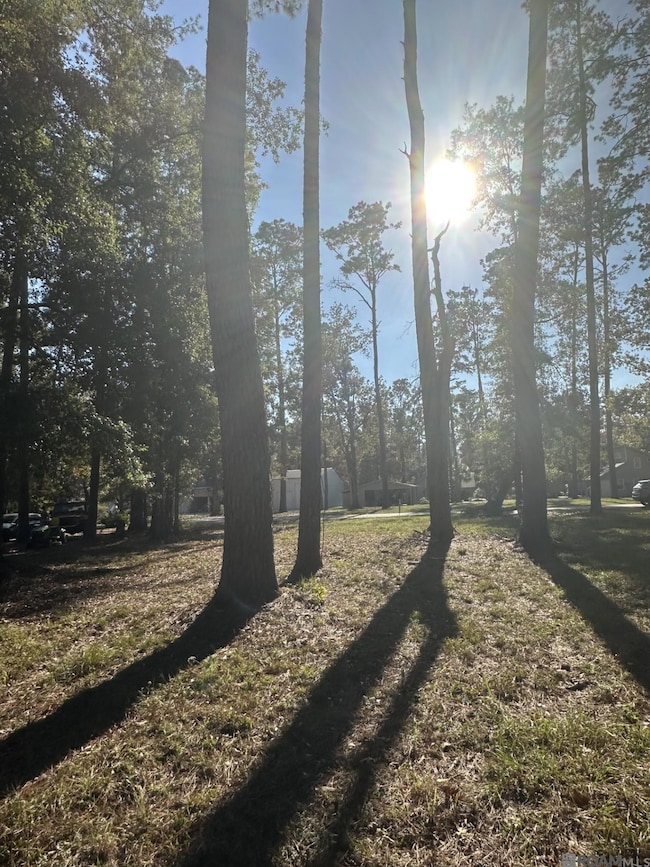 31581 River Pines Dr, Springfield, LA 70462 - photo 3