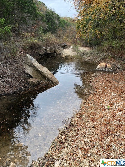 8.55 Acres Lutheran Church Rd, Copperas Cove, TX 76522 - photo 3