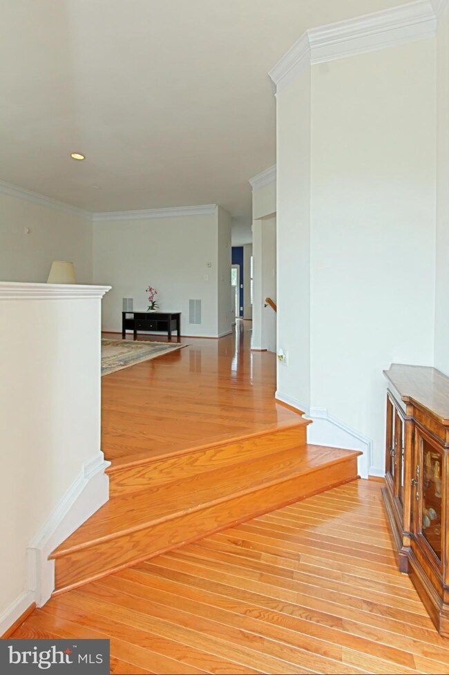 25262 Mcintyre Square, Chantilly, VA 20152 - photo 3