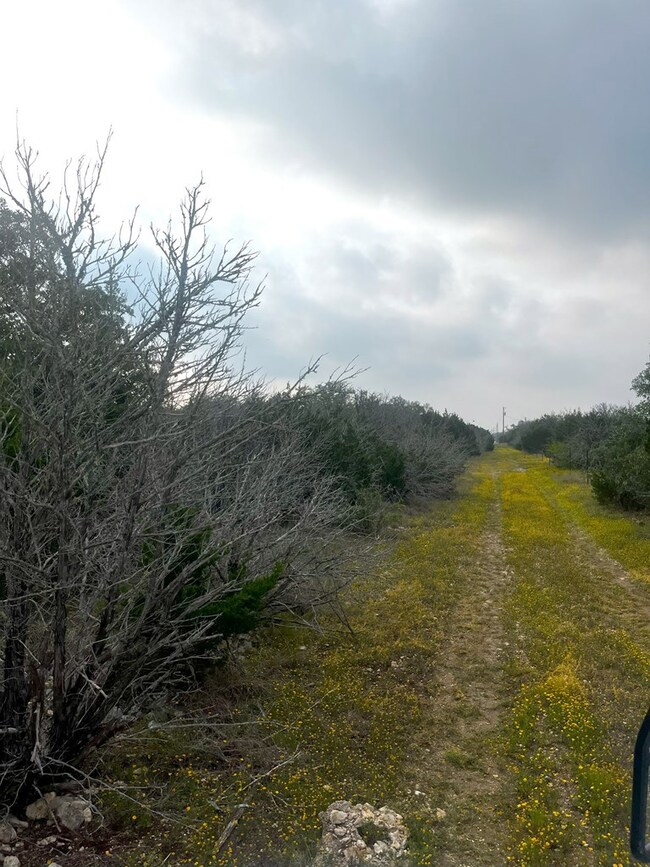 1485 Other unit 2, Rocksprings, TX 78880 - photo 6