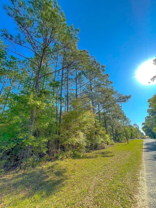 0 S Cedar Point Cir, Cordele, GA 31015 - photo 3
