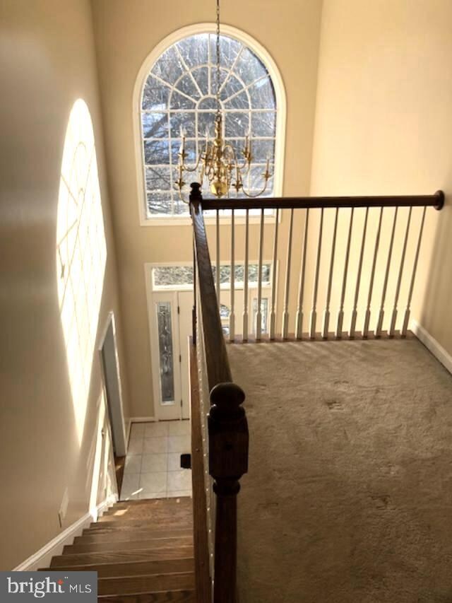 11126 Parkwood Dr, Hagerstown, MD 21742 - photo 7