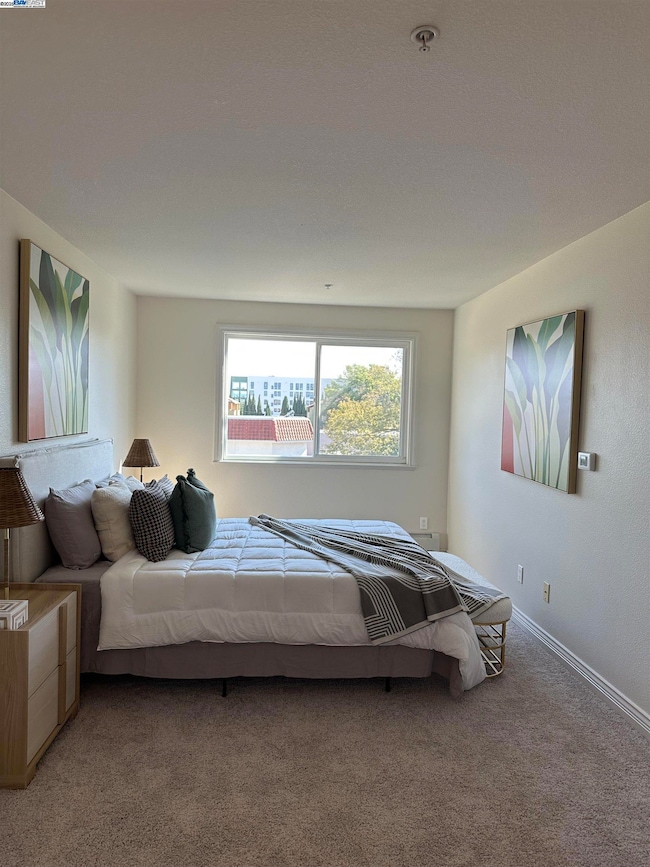 15956 E 14th St unit 303, San Leandro, CA 94578 - photo 6