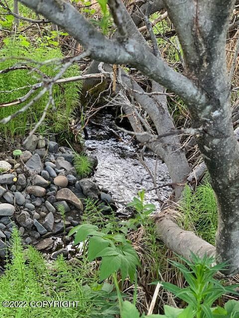Fresh water Creek through property