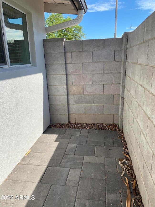 Back Patio