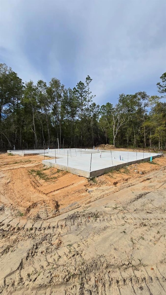 0000 W Geneva Place, Citrus Springs, FL 34434 - photo 3