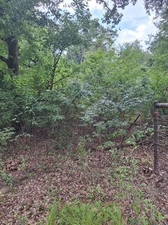 291 Rs County Road 4455, Point, TX 75472 - photo 3