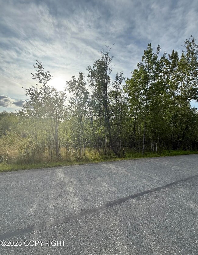 495 S Harriette St, Wasilla, AK 99654 - photo 4