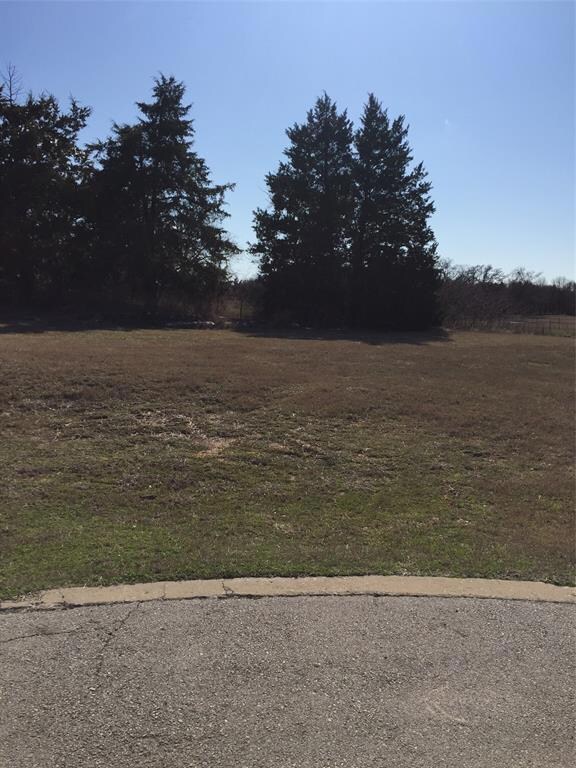 TBD L11 Meridian Ln, Gordonville, TX 76245 - photo 3