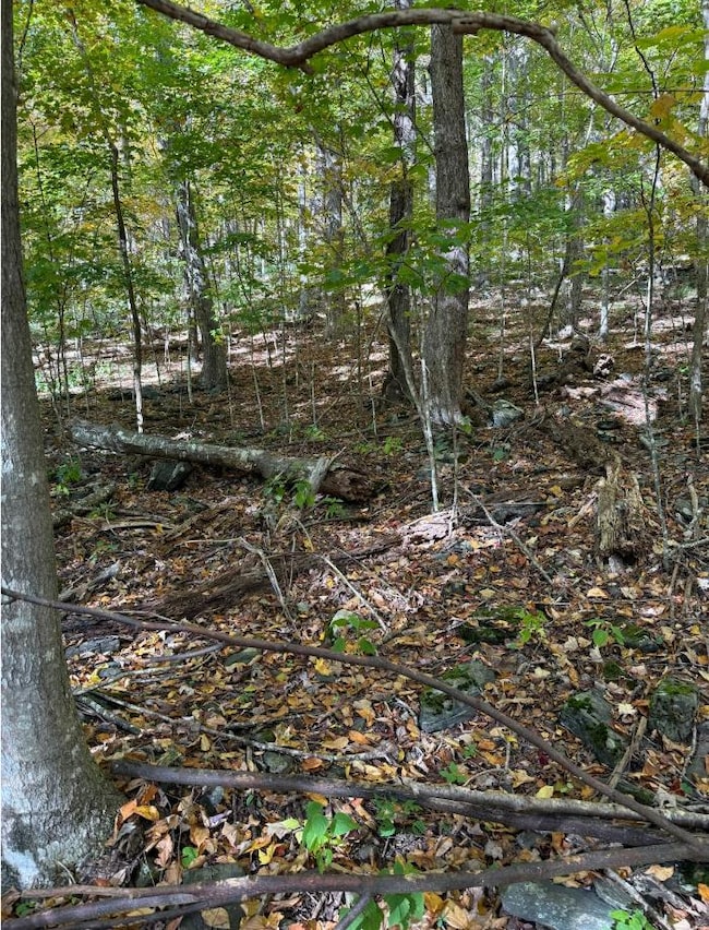 0 Lauren Ln unit 24422390, West Jefferson, NC 28694 - photo 4