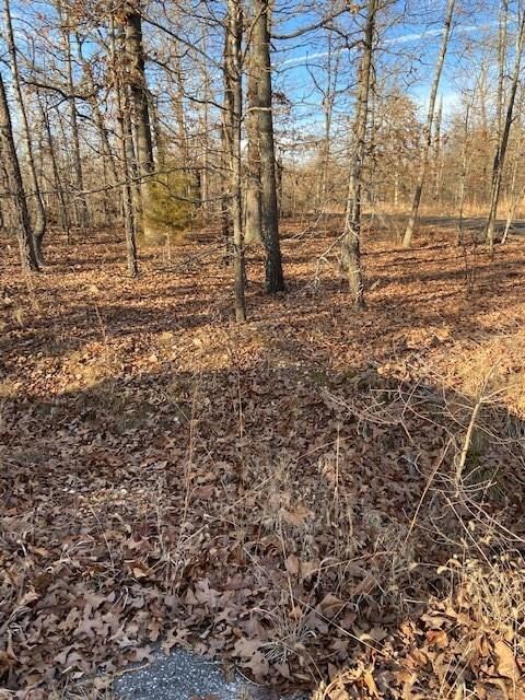 Lot 7 Bowmore Cir, Bella Vista, AR 72714 - photo 2