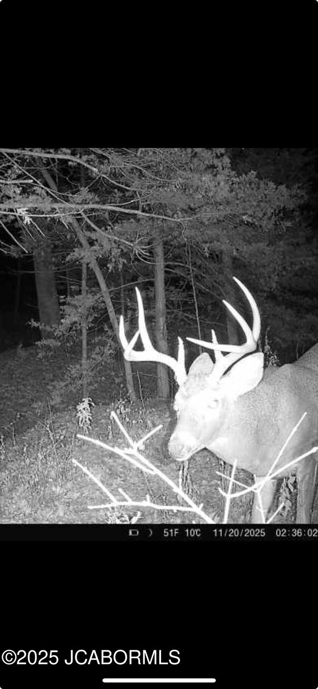 3312 Honey Creek Rd, Jefferson City, MO 65101 - photo 5