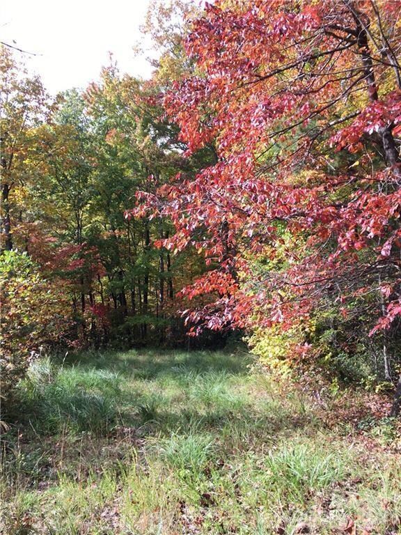 28 Trillium Ln unit C-1, Black Mountain, NC 28711 - photo 7