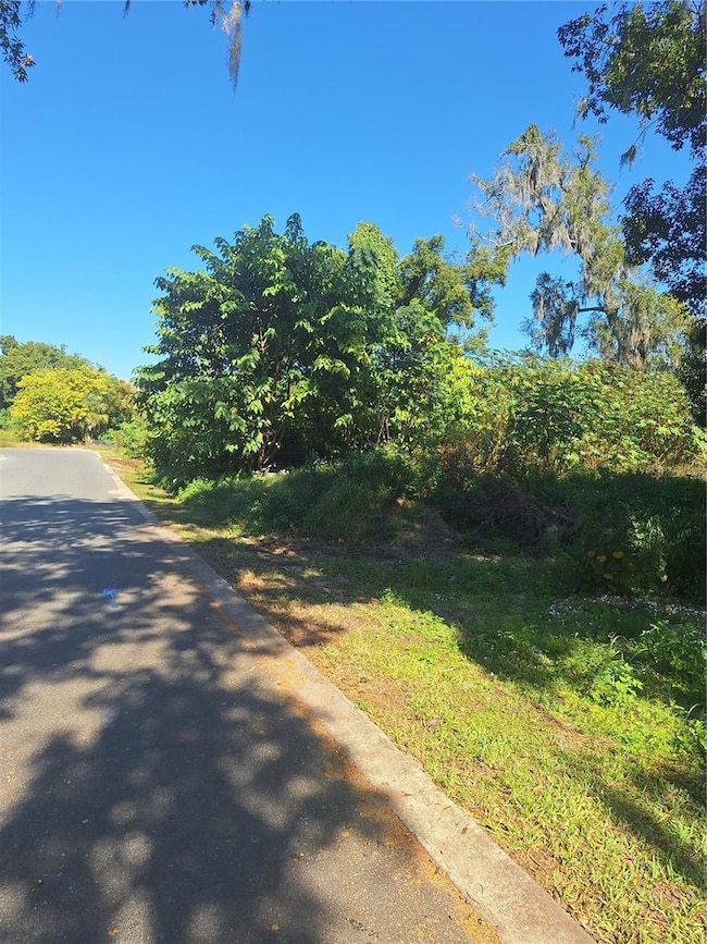 335 E 12th St, Apopka, FL 32703 - photo 4