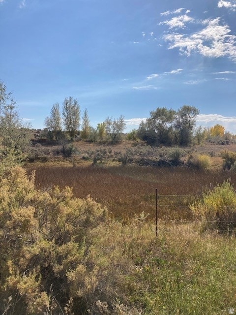 View of undeveloped land