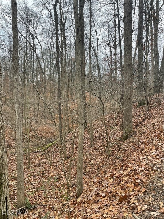 0 McKee Hill Rd unit 5175088, Frazeysburg, OH 43822 - photo 2