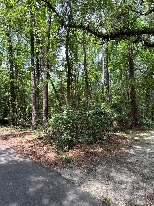 View of wooded area