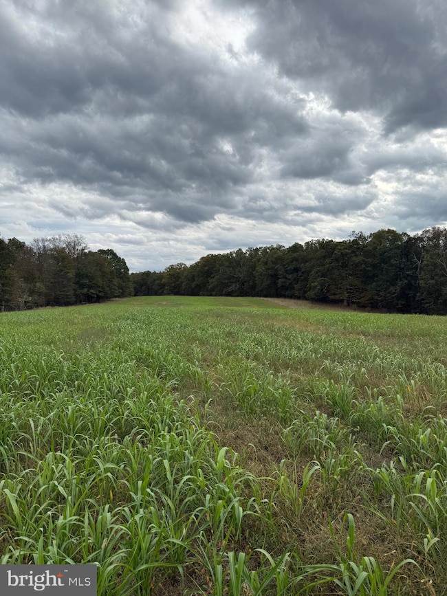 0 Posey Hollow unit WVMO2007026, Berkeley Springs, WV 25411 - photo 7