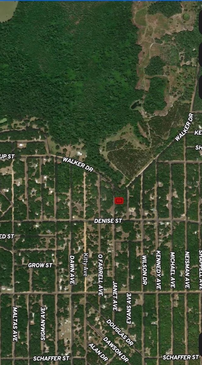 LOT 3 Janet Ave, Interlachen, FL 32148 - photo 3