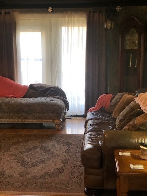 Living room views with (almost) enough shelves to house all your books!