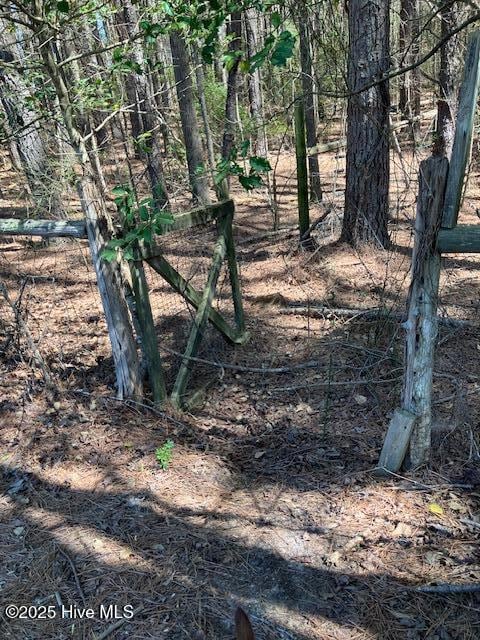 00 Wildberry Rd, Smithfield, NC 27577 - photo 6