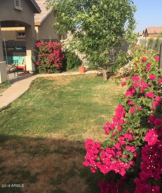 backyard 9411