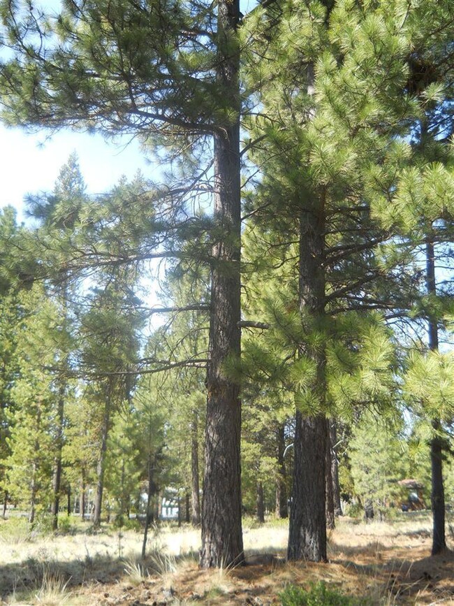 unlisted-address, Three Rivers, OR 97707 - photo 4