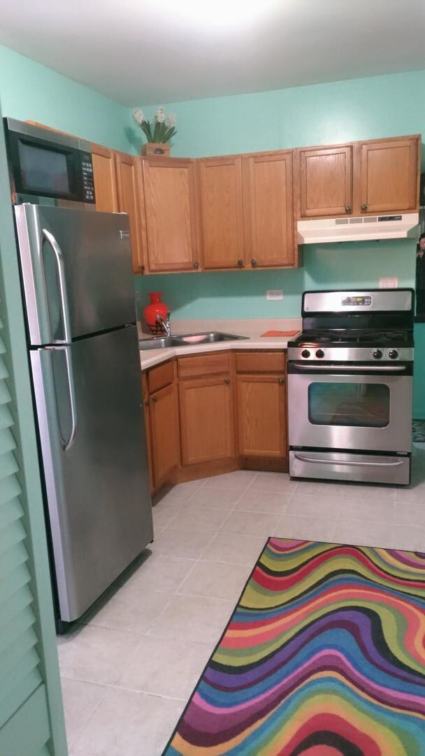 5543 W Barry Ave unit 1, Chicago, IL 60641 - photo 3