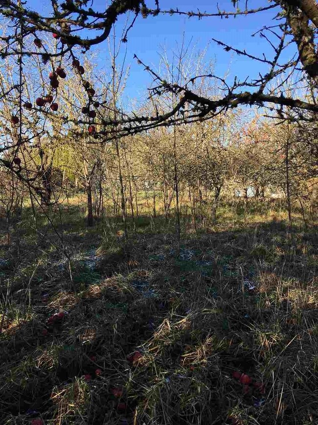 0 Pleasant View Dr NE unit 713425, Keizer, OR 97303 - photo 4