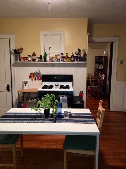 43 Pitman St, Providence, RI 02906 - photo 7