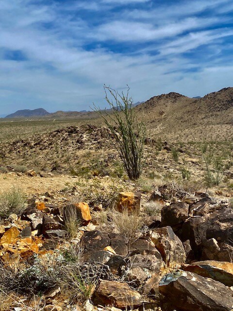 View of mountain backdrop