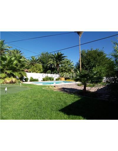 Exterior Back. ~VIEW FROM SOUTH END OF YARD~BIG LO