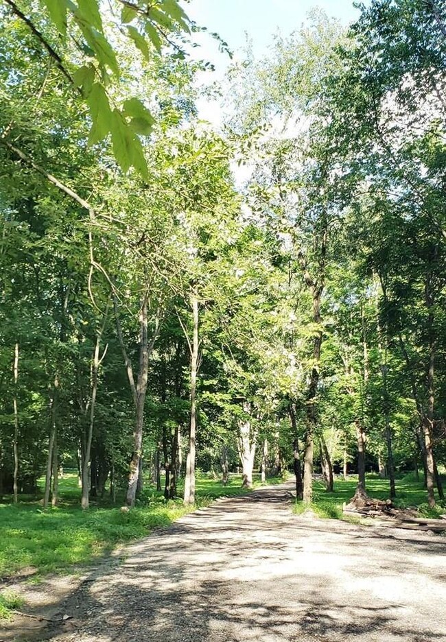 Gale Rd driveways