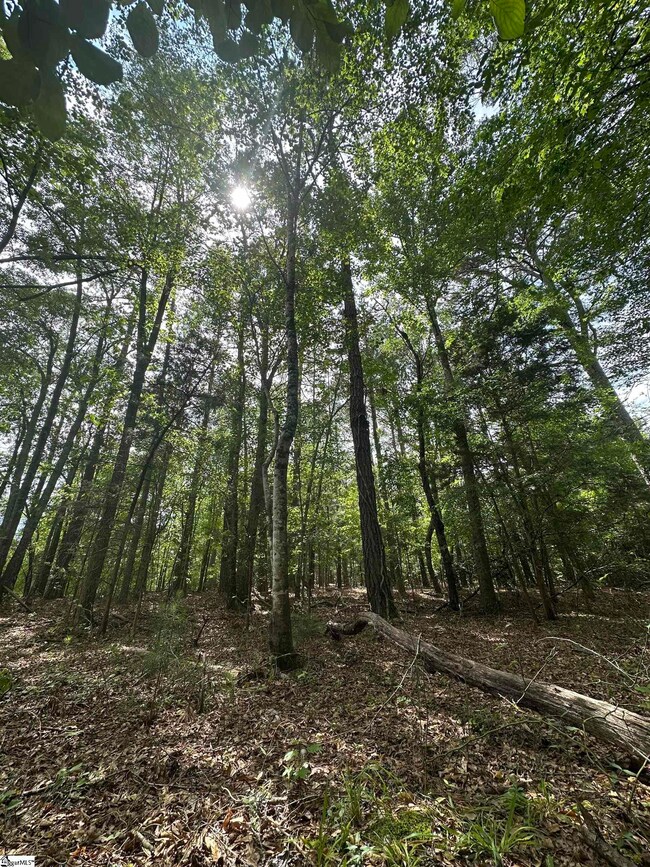 00 Watt Rogers Rd unit Tract 2, Pelzer, SC 29669 - photo 5