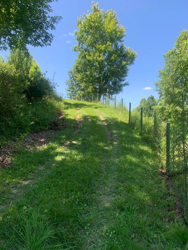 9999 Big Barn Rd, Tyner, KY 40486 - photo 6