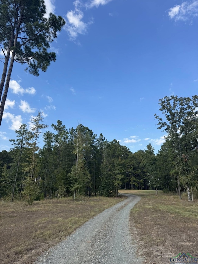 2401 S Williams St, Atlanta, TX 75551 - photo 5