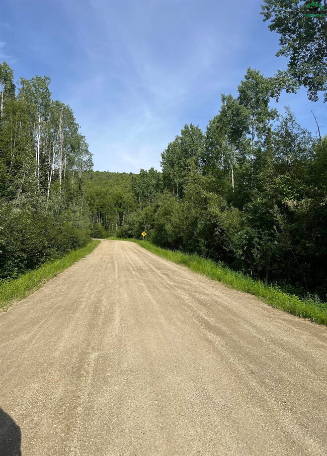 NHN Snowbasin Rd, Fairbanks, AK 99709 - photo 3