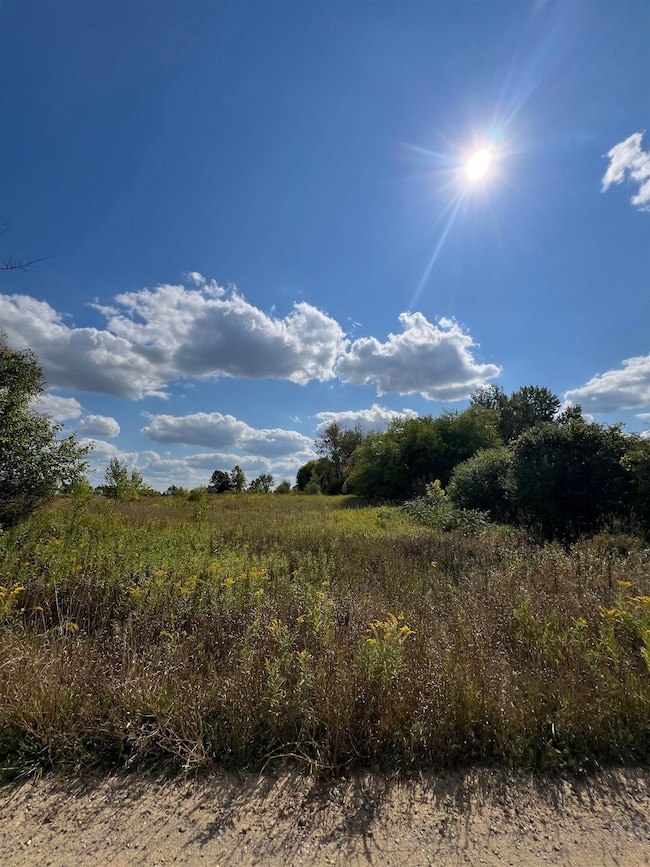 TBD Pinecrest St, Clare, MI 48617 - photo 3