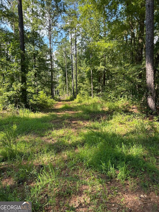 0 Fears Rd unit 10647993, Madison, GA 30650 - photo 4